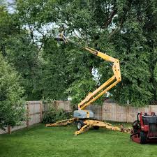 Best Sod Installation  in West Clarkston Highland, WA